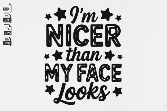 I m Nicer, Snarky Sarcastic Funny Sayin Review